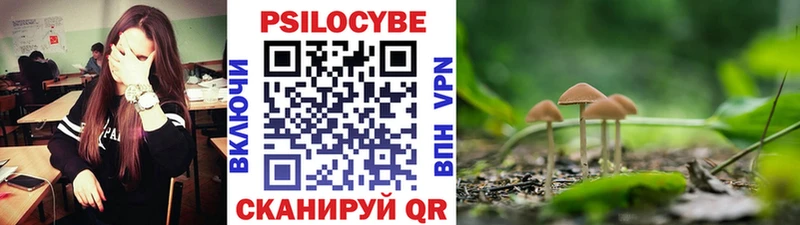 Псилоцибиновые грибы GOLDEN TEACHER  даркнет сайт  Высоковск 